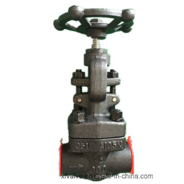 API602 geschmiedetem Kohlenstoffstahl A105 Gewinde Ende NPT Globe Valve